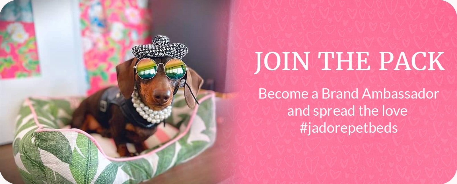 Brand Ambassador Program J'adore Custom Pet Beds