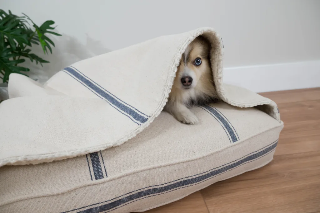 custom bed with dog bed