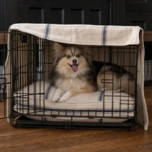 custom pet beds