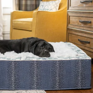 Product Title On Sale