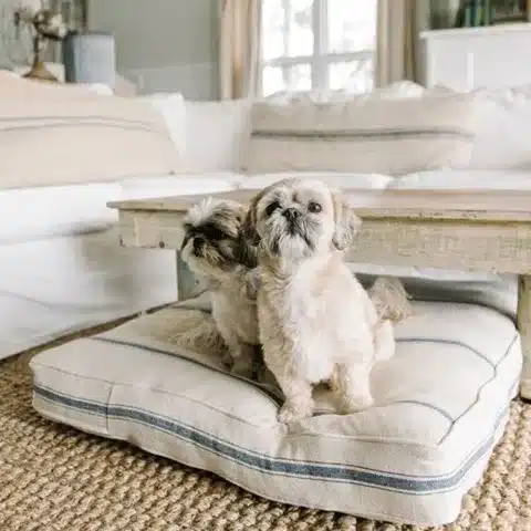 custom bed with dog bed