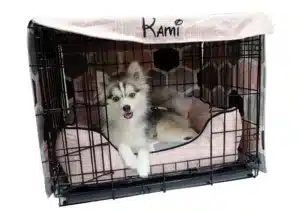 custom dog bed
