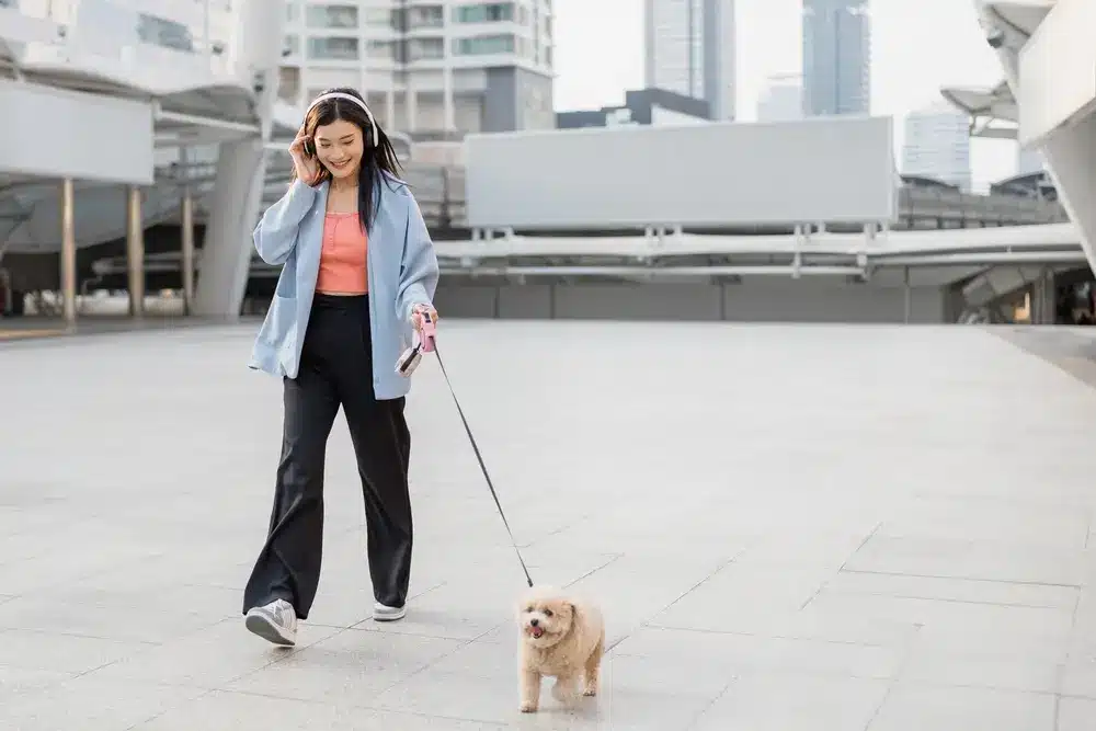 Asian,Young,Woman,Walking,With,Her,Adorable,Small,Puppy,In