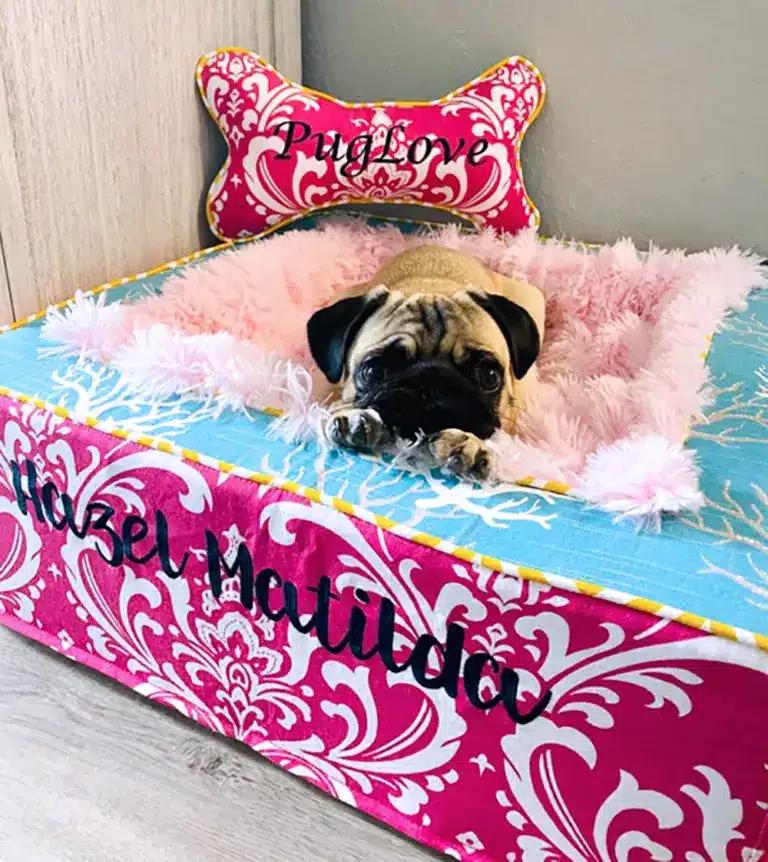 Hazel Matilda throne bed pug vertical