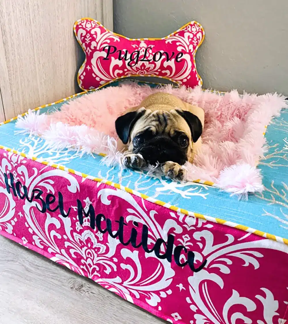 Hazel Matilda throne bed pug vertical