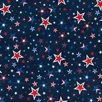 Liberty Stars Cuddle