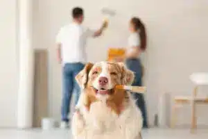 Cute,Dog,With,Brush,In,Front,Of,Couple,Painting,Wall