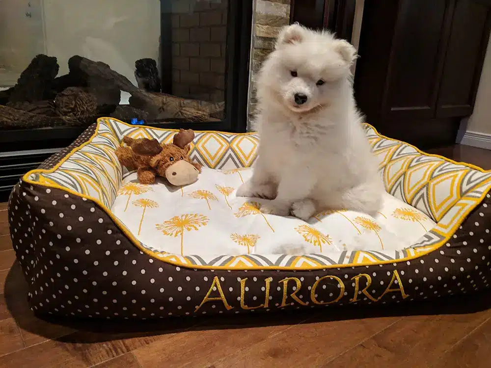 Aurora cuddle bed
