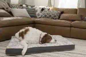 Rectangle Memory Foam