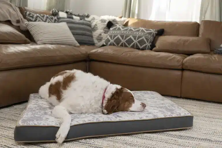 Rectangle Memory Foam