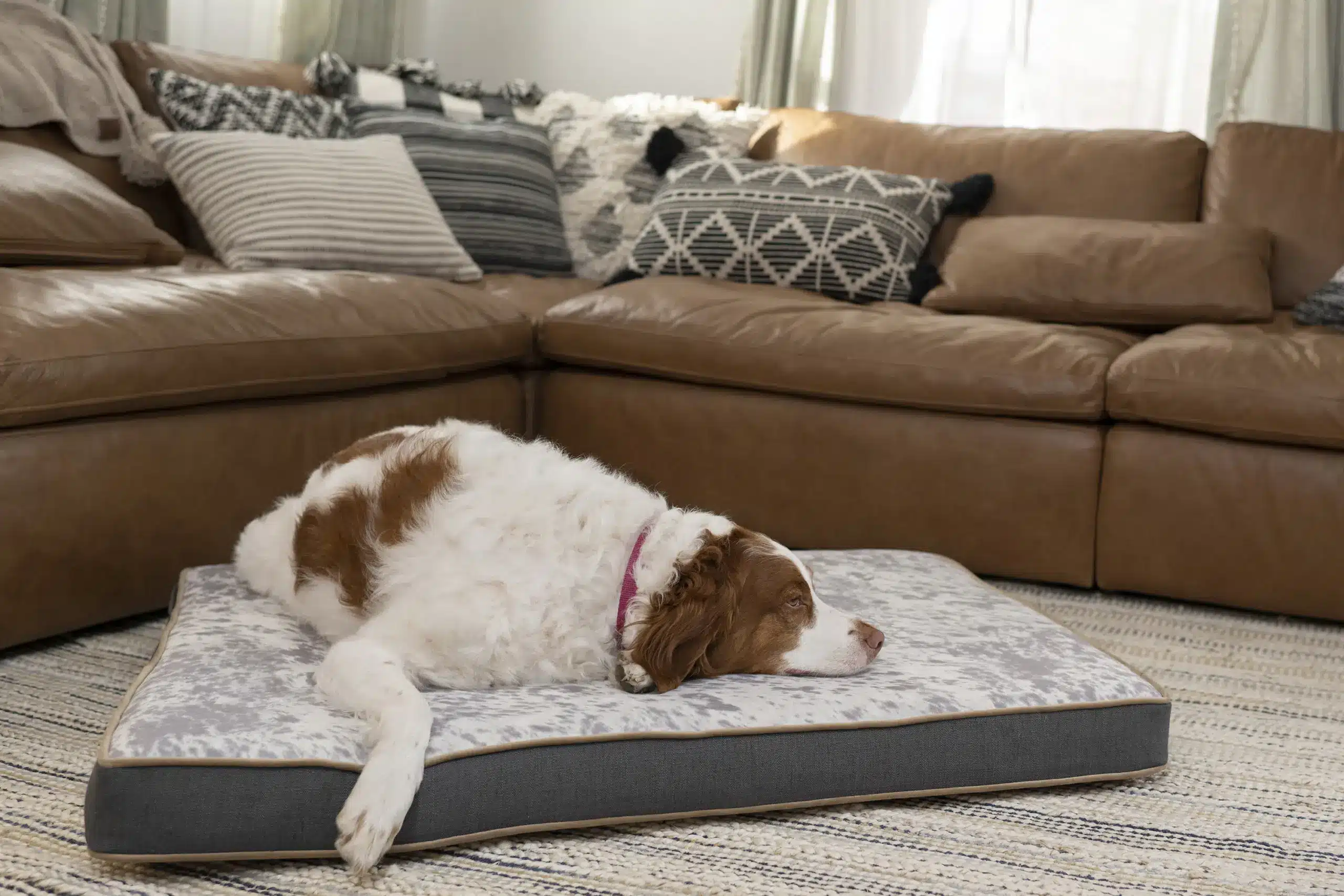 Rectangle Memory Foam