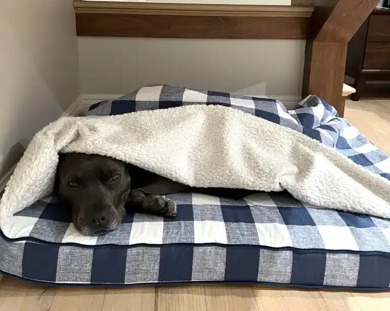 Rosco cave bed