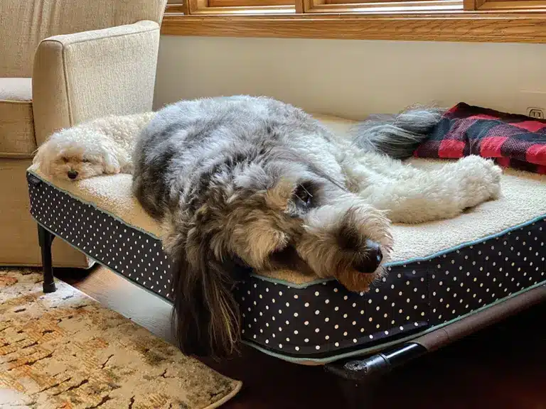custom size bed
