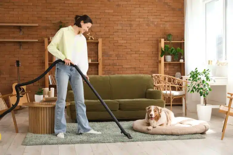 Pretty,Young,Woman,Using,Vacuum,Cleaner,Near,Cute,Australian,Shepherd