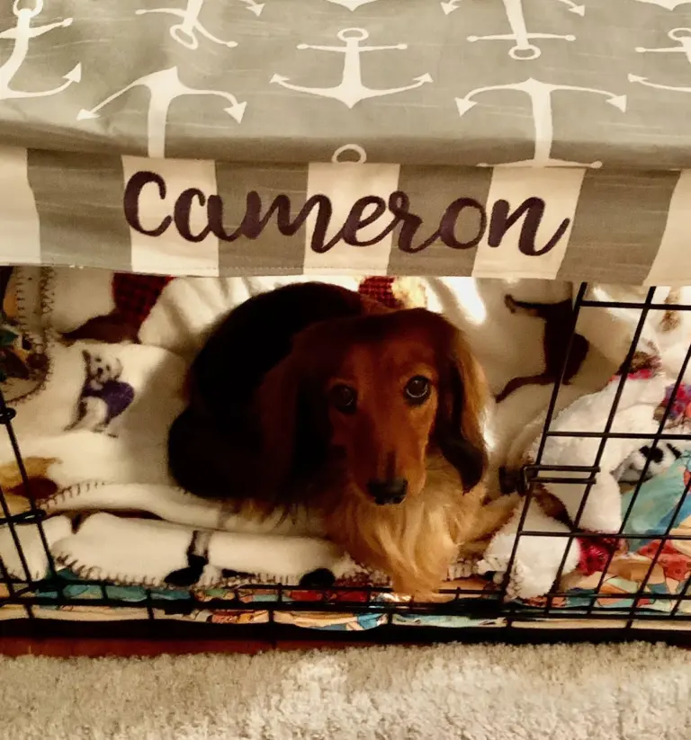 Cameron