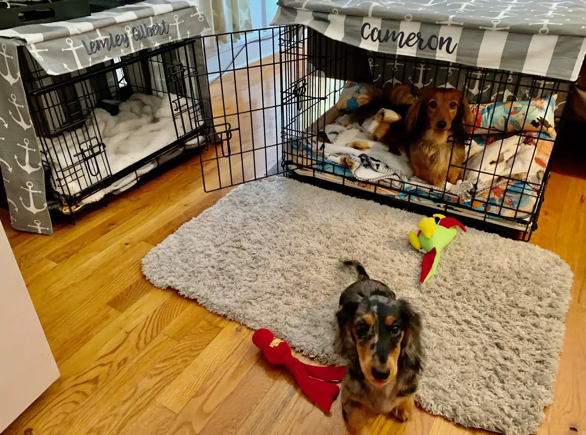 Lemley Gilbert and Cameron