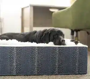 Luxury Personalized Throne Custom Dog Bed