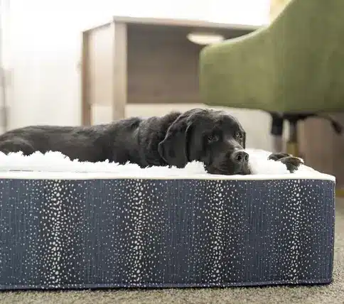 Luxury Personalized Throne Custom Dog Bed