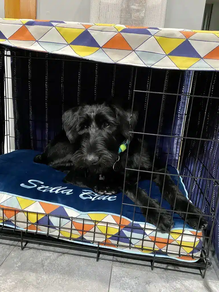 Stella Blue Crate Ensemble