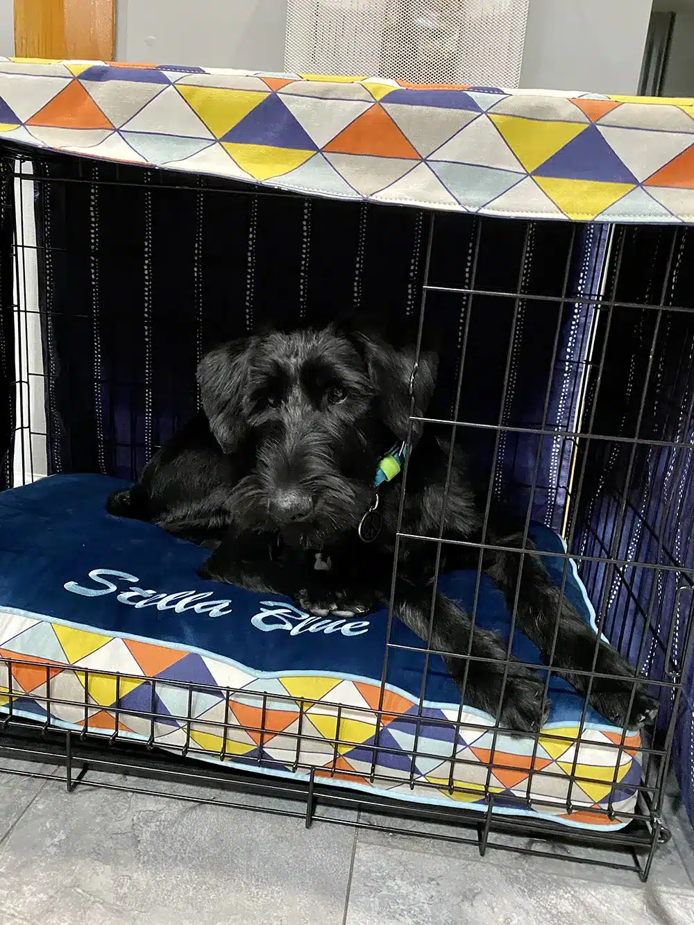 Stella Blue Crate Ensemble