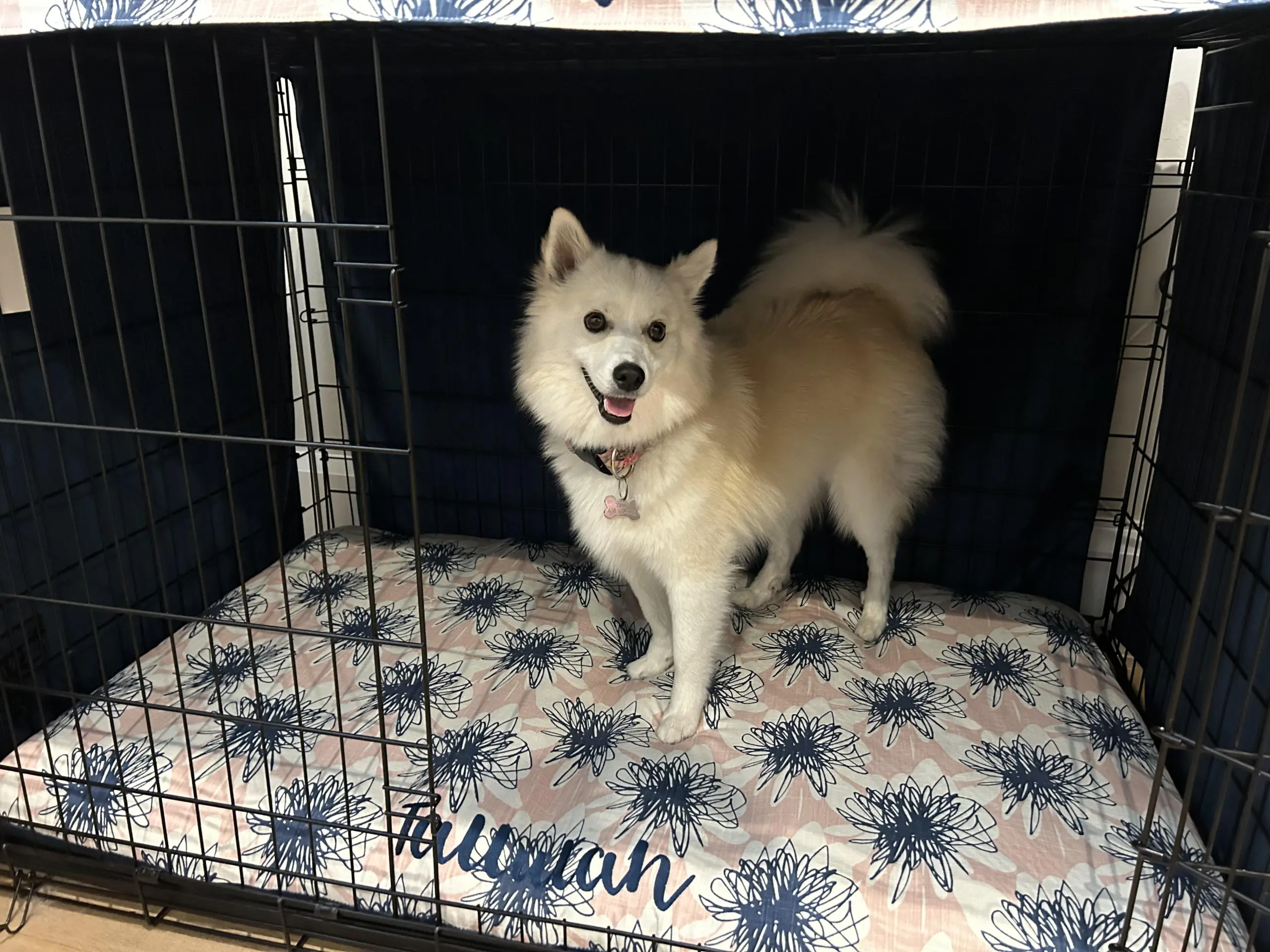 Tallulah crate with bed