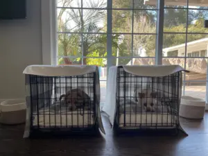 matching crates white grey